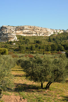 paysage aux Baux-de-Provence dans les Alpilles