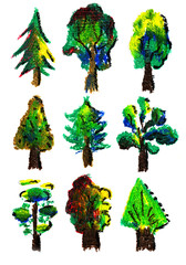 Fototapeta premium Collection of picturesque trees