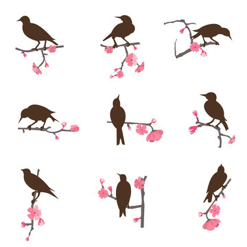 Set from birds sitting on a tree branch