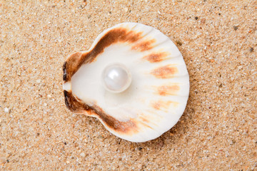 pearl on the seashell . The exotic sea shell
