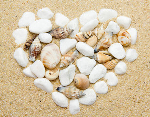 heart made with shells