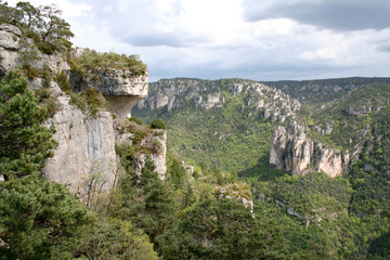 Fototapeta na wymiar Gorges de la Jonte (Aveyron i Loz?re)