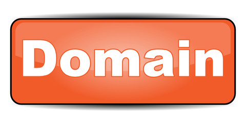 DOMAIN ICON