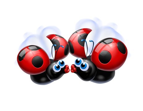 bacio delle coccinelle