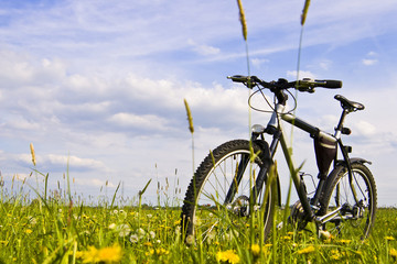 Fototapeta premium bike