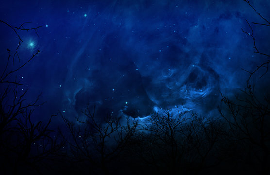 Eerie Silhouette Forest In Blue Night Sky