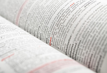 Fototapeta premium dictionary page