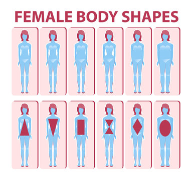 Female body shape or figure types. Woman collection. Body propor