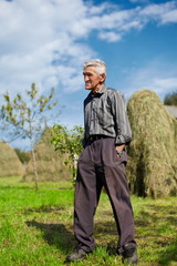 Naklejka na ściany i meble Senior farmer on a meadow with hay stacks