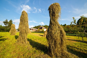 Hay stacks