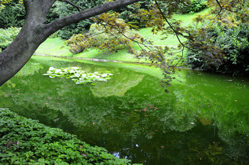 Garden on Lake Como Italy
