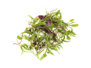 Coriander and Amaranth Salad