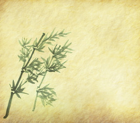Silhouette of branches of a bamboo on paper background .