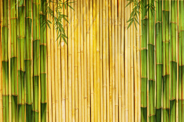 Light Golden bamboo Background