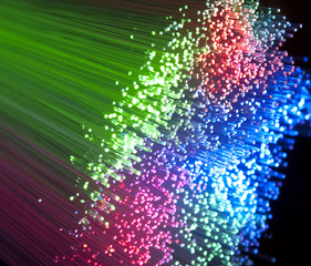 bunch of optical fibres dinamic