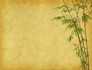 Fototapeta premium design of chinese bamboo trees with texture of handmade paper