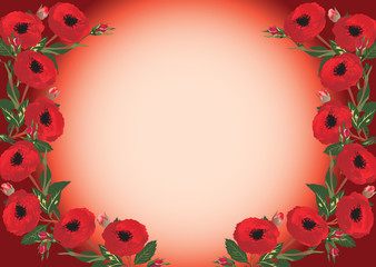 beautiful red flower frame pattern