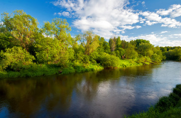 Fototapeta na wymiar Green field with river