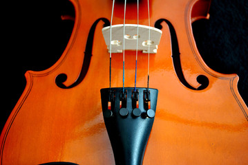 Violin close up on a black background