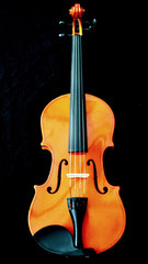 Fototapeta na wymiar Violin on a black background