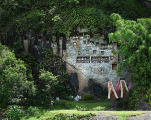Groups of old family coffins with bones hanging on a rock. Tana Toraja region. Sulawesi island....