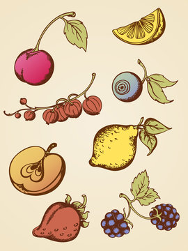 vintage fruits