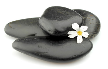 Stones with white flower