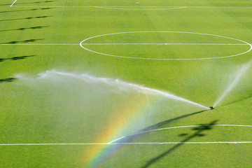 watering turf