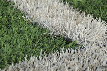 Фон из зеленой травы с белой разметкой