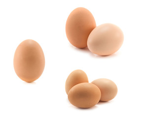 eggs isolated