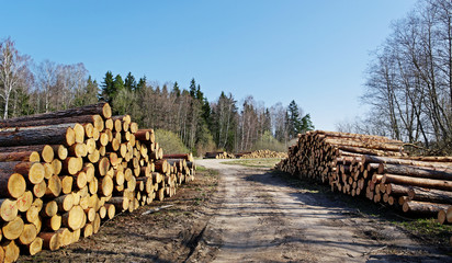 Stack of logs.