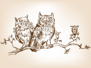 Three hand drawn funny owls, sitting on tree  branch.