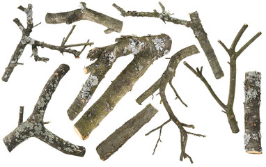 Fototapeta premium Logs set for smoking