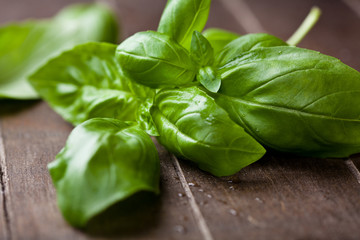 Basil