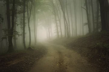 Foto op Plexiglas weg door een bos met mist in de zomer © andreiuc88