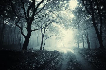 Deurstickers pad door een donker bos © andreiuc88