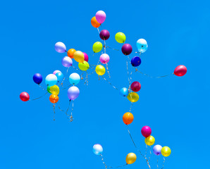 Many balloons fly into the sky