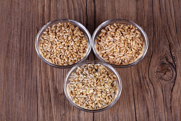 Mehrkorn, Dinkel Korn und Weizen Korn in Schälchen