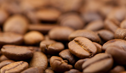 Coffee grain close up