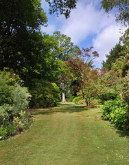 woodland area in an English Landscaped Garden