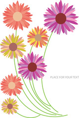 card with color flowers and place for text