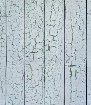 Pattern of paint cracks