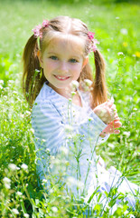 Cute little girl  on the meadow