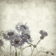 textured old paper background with cornflower