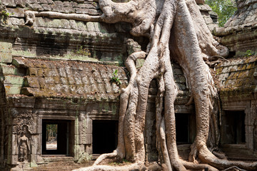Fototapeta na wymiar Ta Phrom Tempel