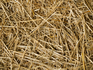 Straw bale background