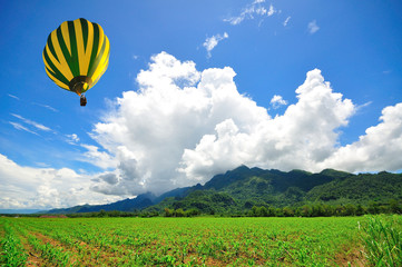 Balloon over Field of young corn