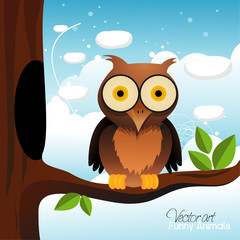 owl vector illustration