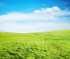 Obraz premium summer fields