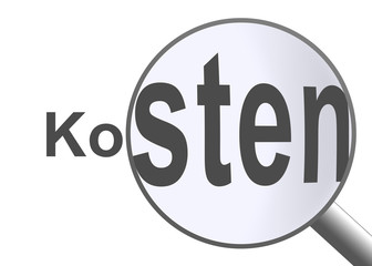 Kosten mit einer Lupe betrachtet